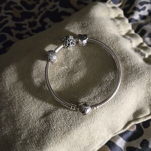 Pandora bracelet with charms
